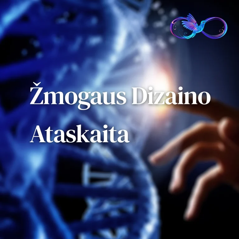 Žmogaus Dizaino ataskaita – tai kelias į savęs pažinimą ir gyvenimo krypties supratimą. Šioje nuotraukoje akcentuojama ranka, paliečianti švytinčią DNR spiralę, simbolizuojanti energijos galią ir gyvenimo harmoniją. Human Design metodas leidžia atskleisti Projektoriaus, Generatoriaus, Reflektoriaus ir Manifestoriaus stiprybes. Svetainė GoToYourPower.lt skirta padėti Lietuvos ir užsienio lietuviams atrasti savo prigimtinį potencialą.